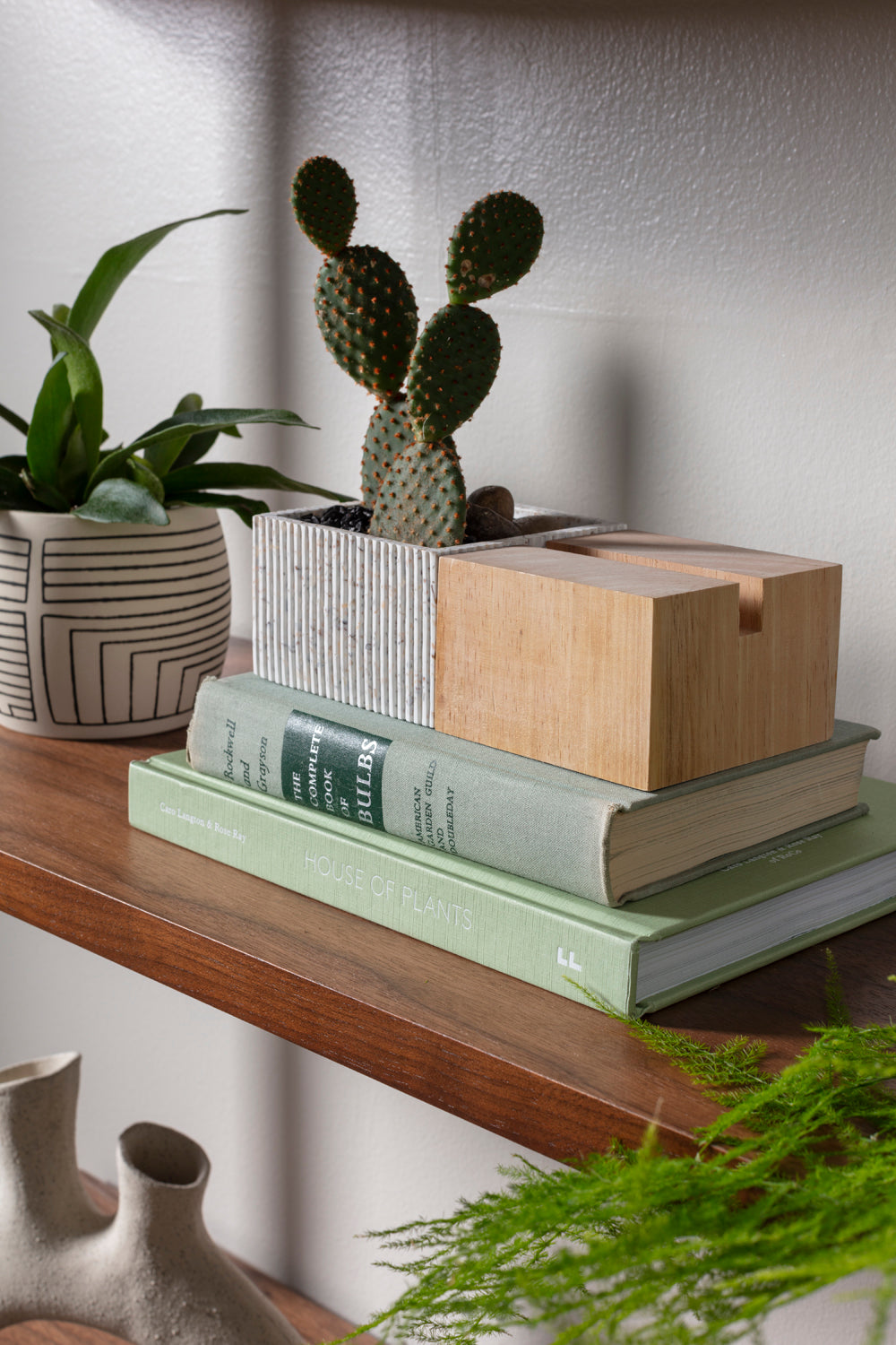 Aravalli Phone Stand Planter