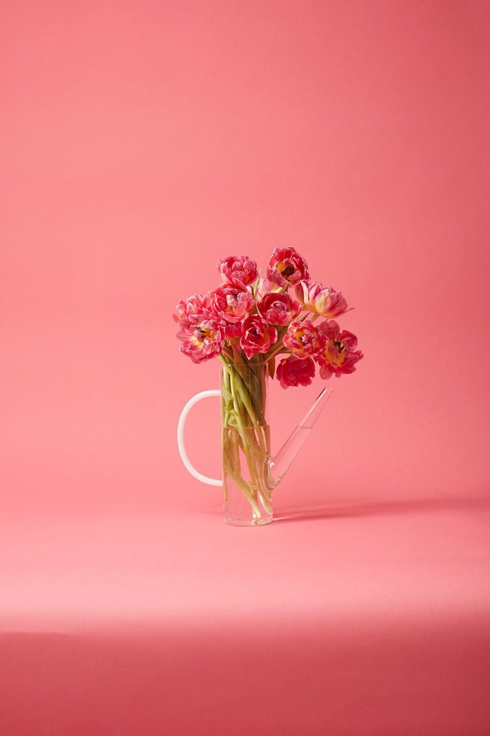 Arlo Glass Watering Can