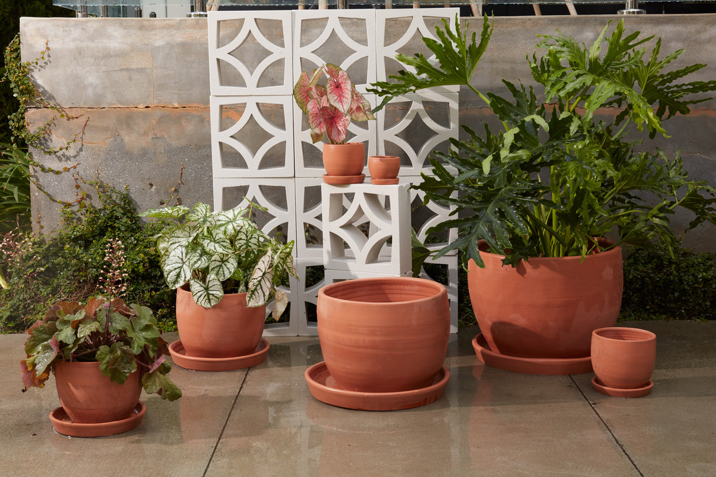 Baden Pot