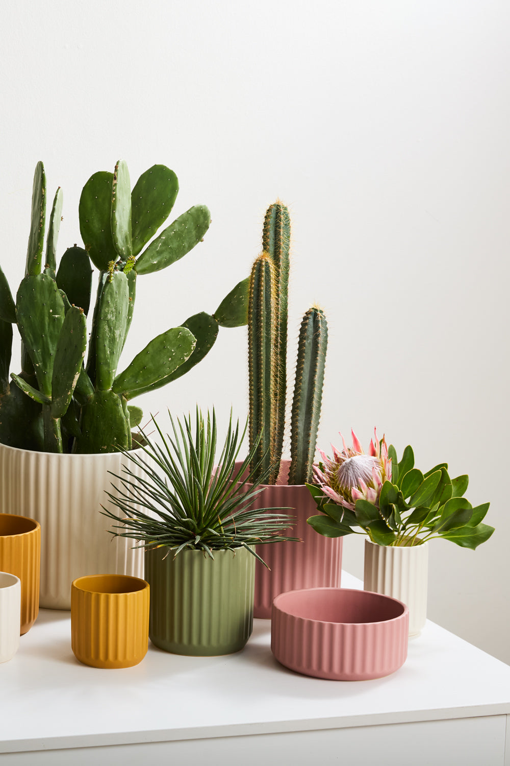Beam Bowl