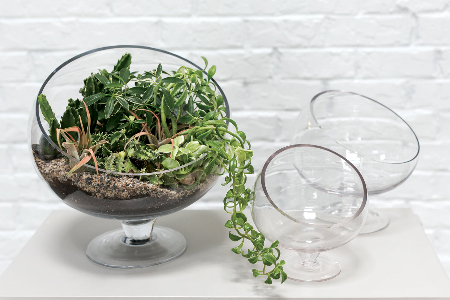 Bias Bowl
