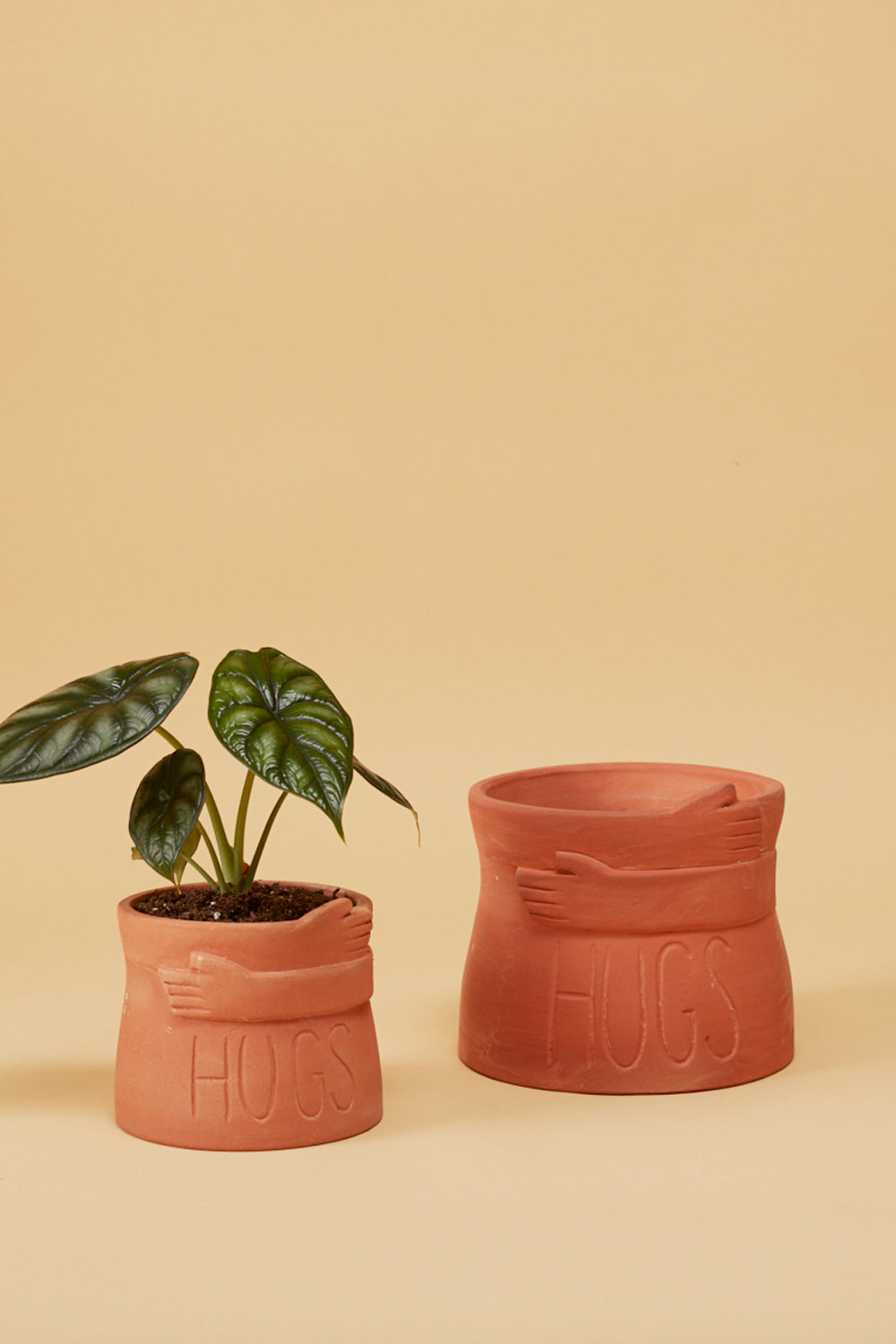 Big Hugs Pot