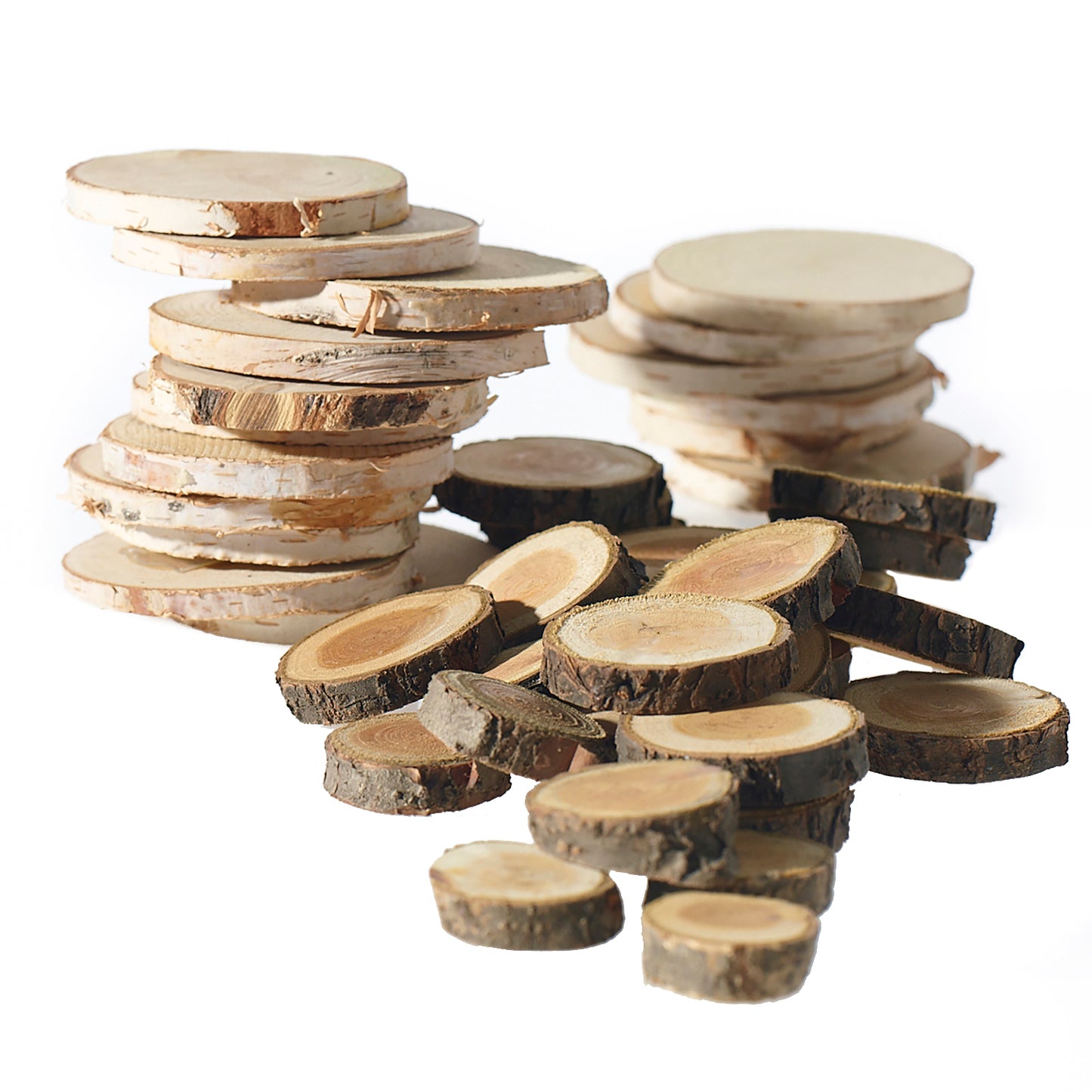 Birch and Wood Slices