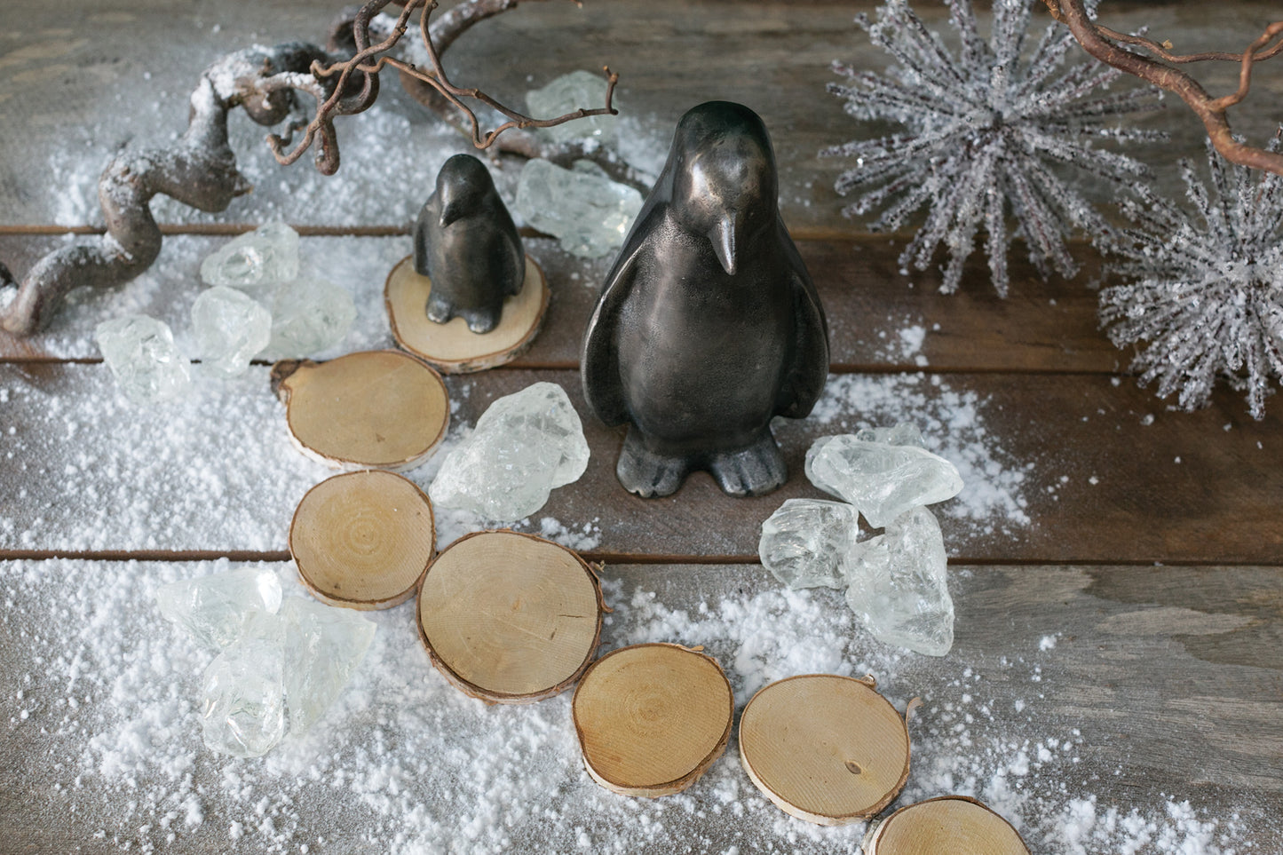 Birch and Wood Slices