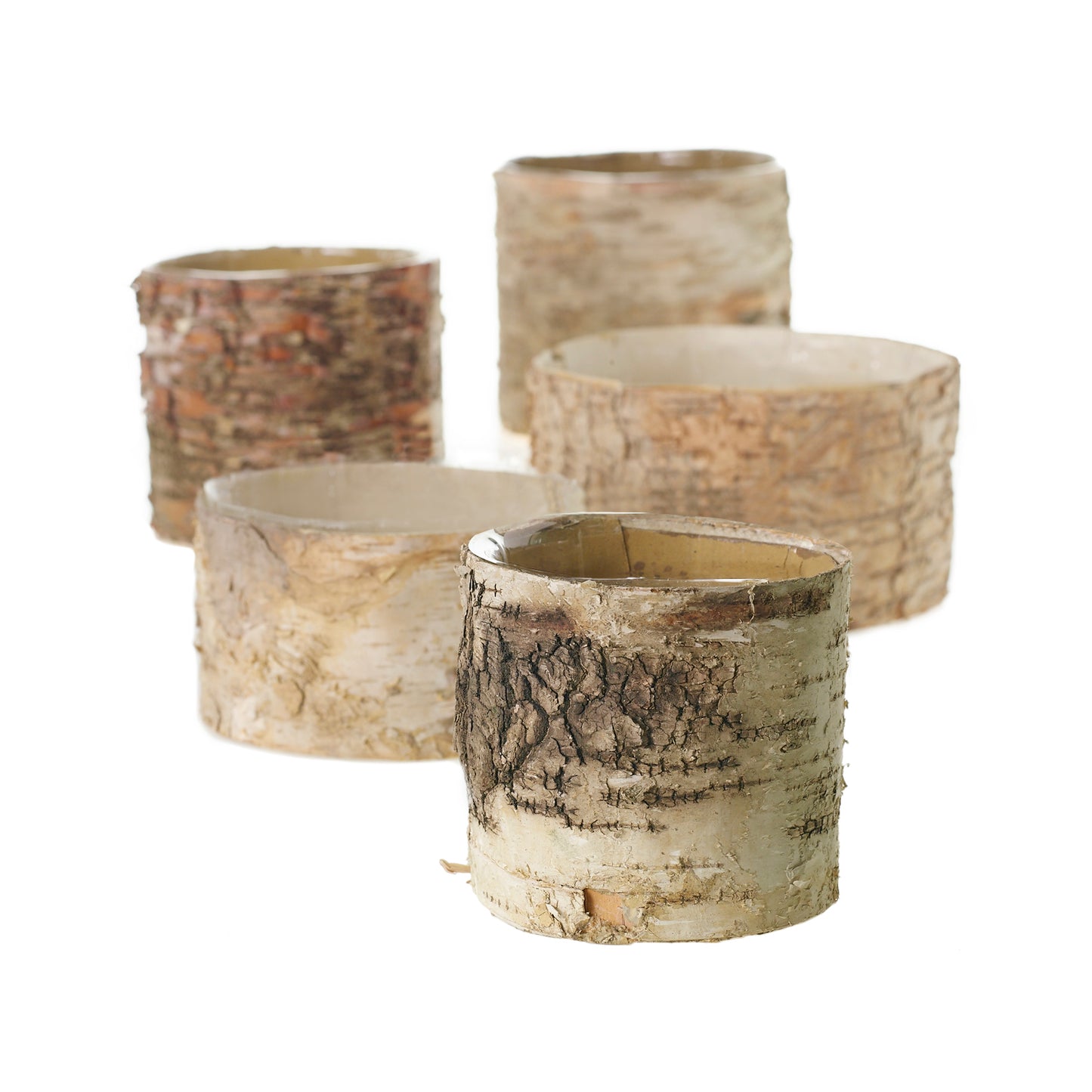 Birch Cylinder