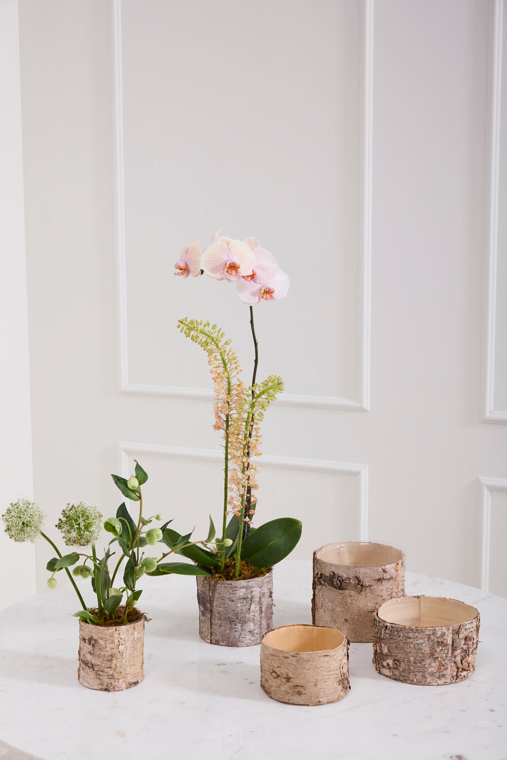 Birch Cylinder