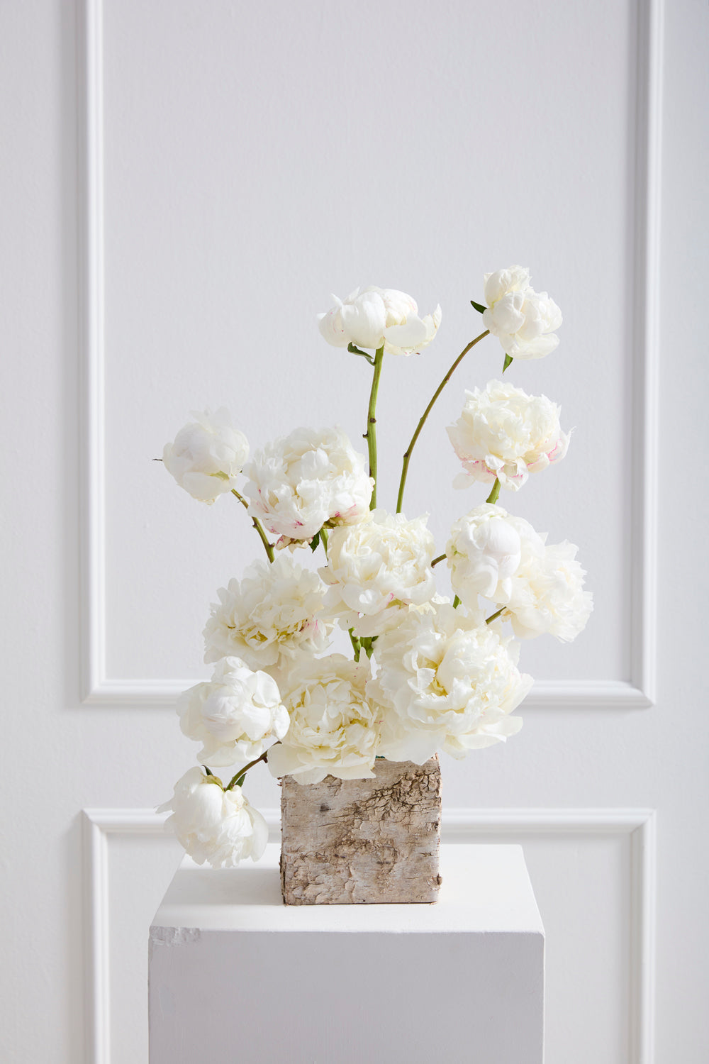 Birch Square Pots