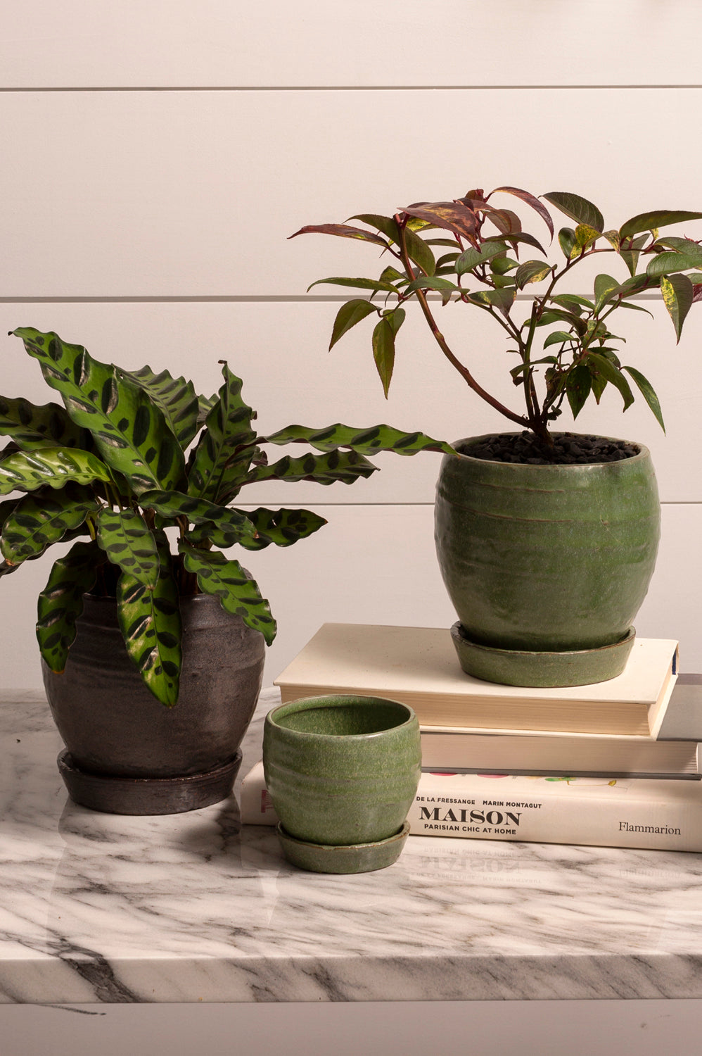 Bradford Pot