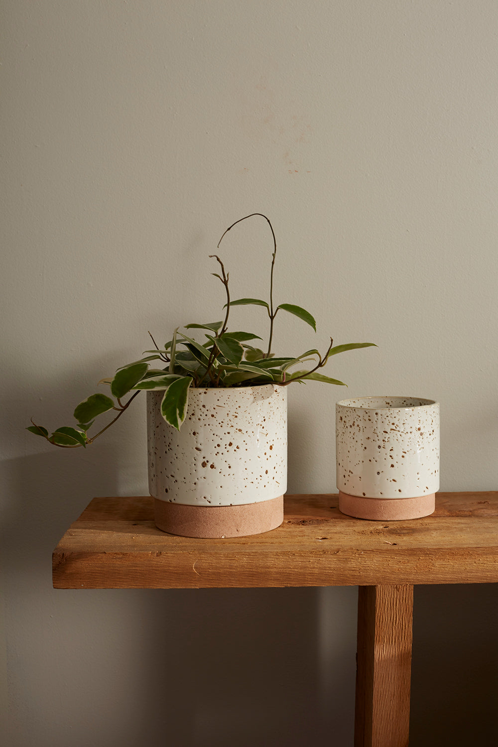 Briar Pot