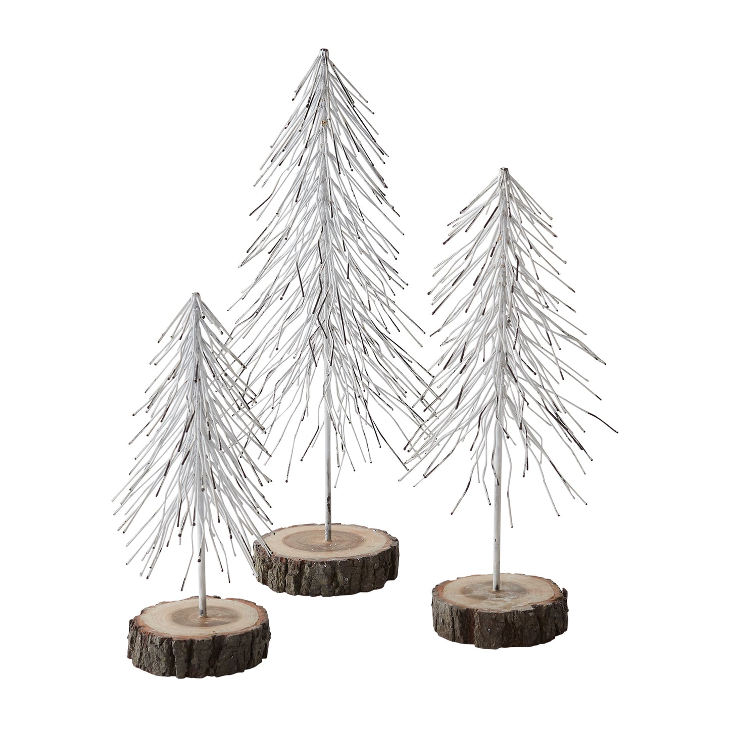 Bristle Tree