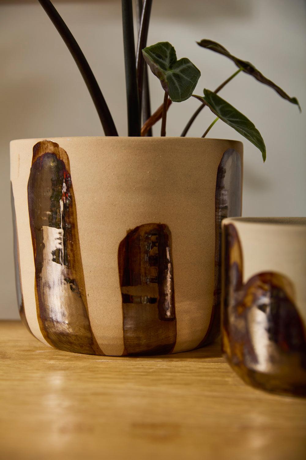 Bronze Brushstroke Collection