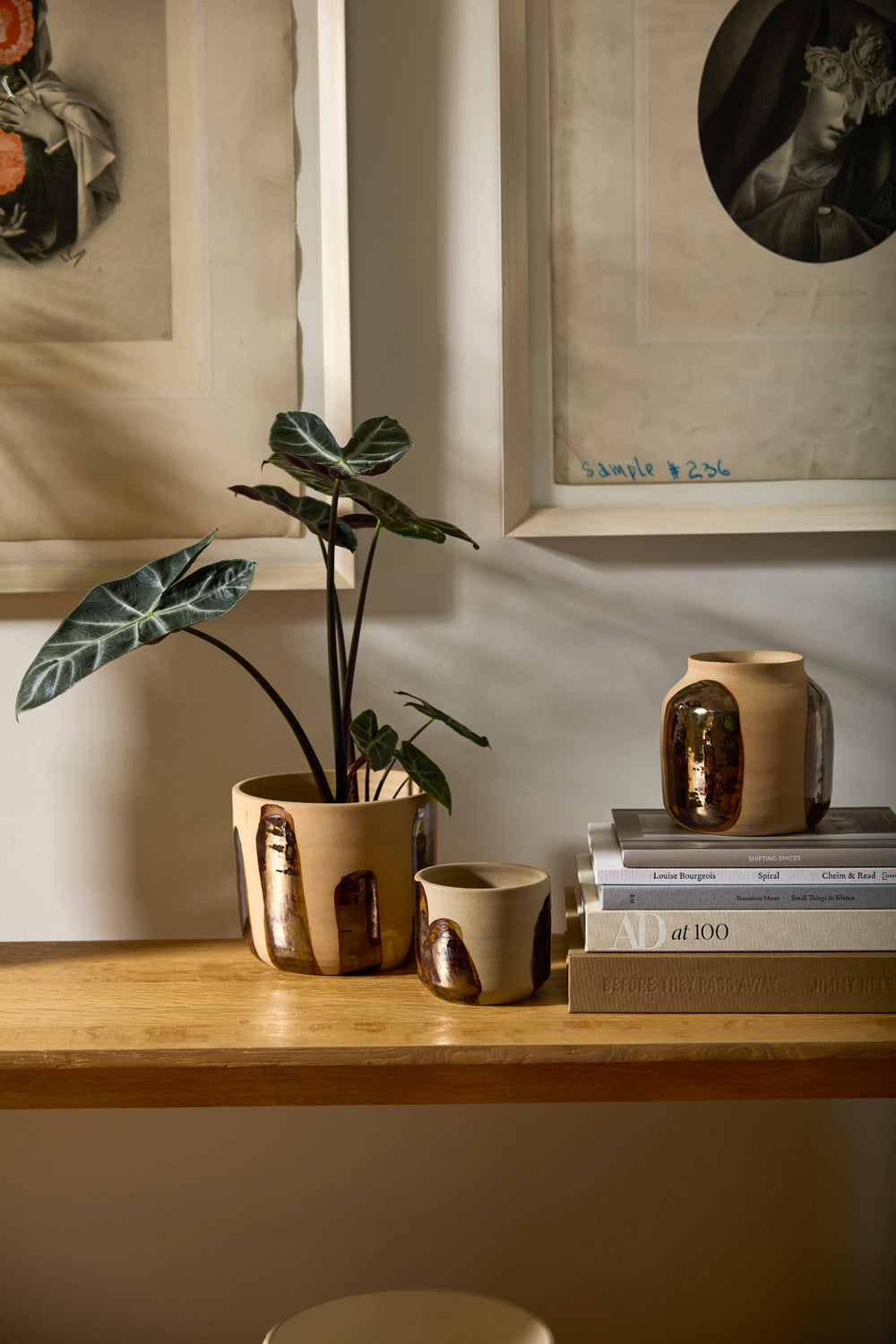 Bronze Brushstroke Collection
