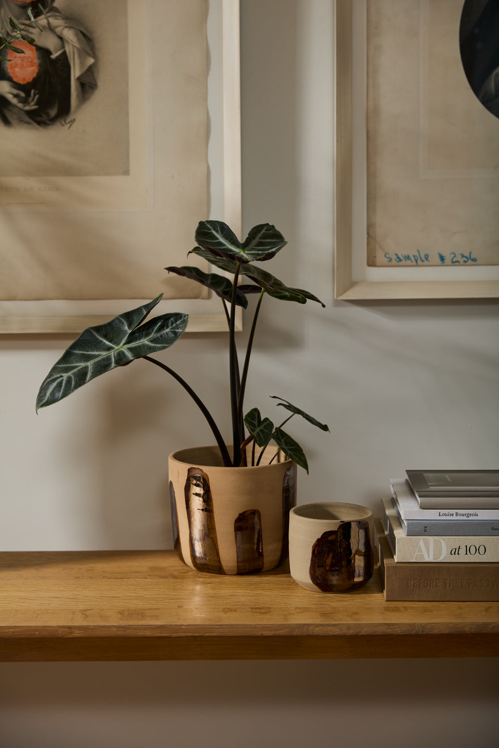 Bronze Brushstroke Collection