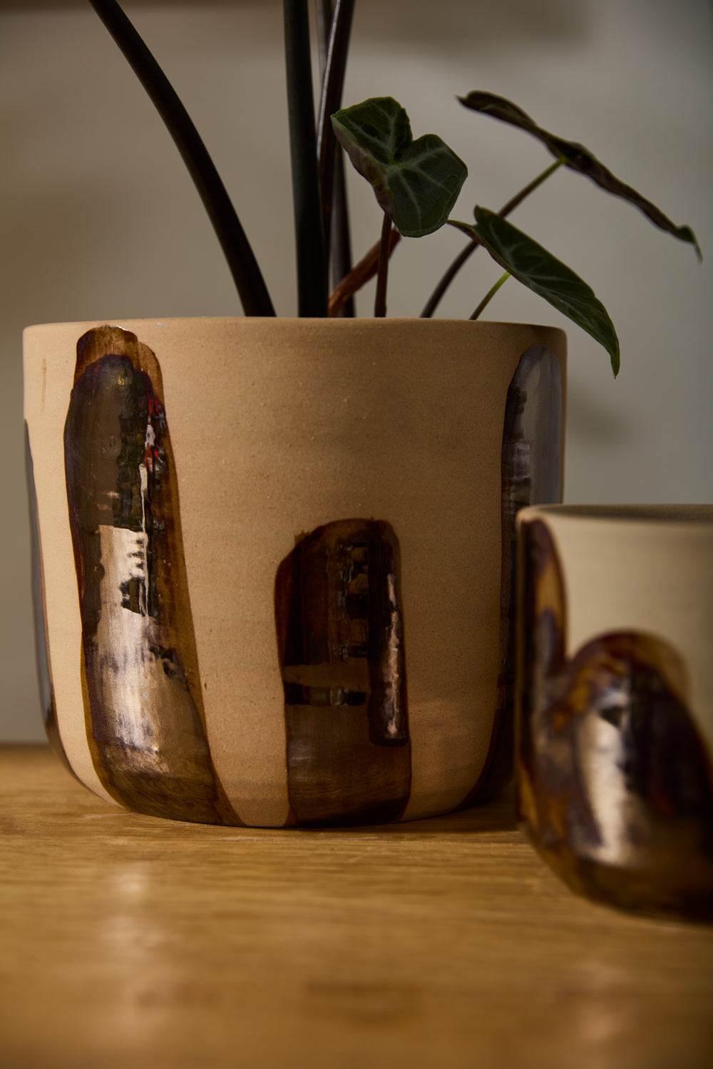 Bronze Brushstroke Collection