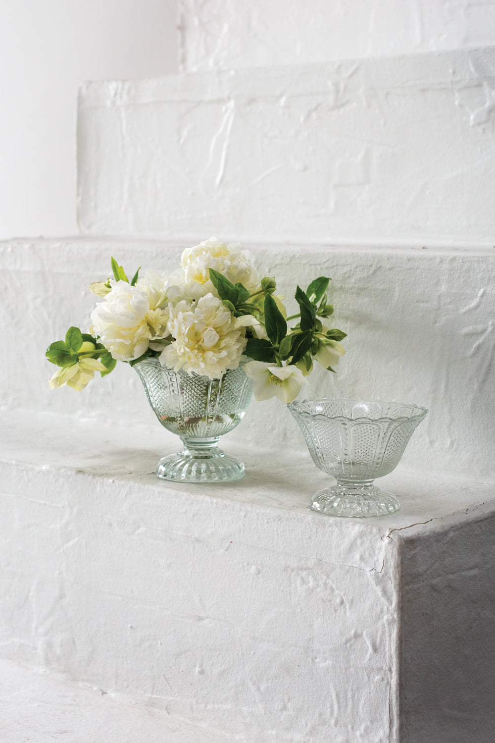 Camilla Compote