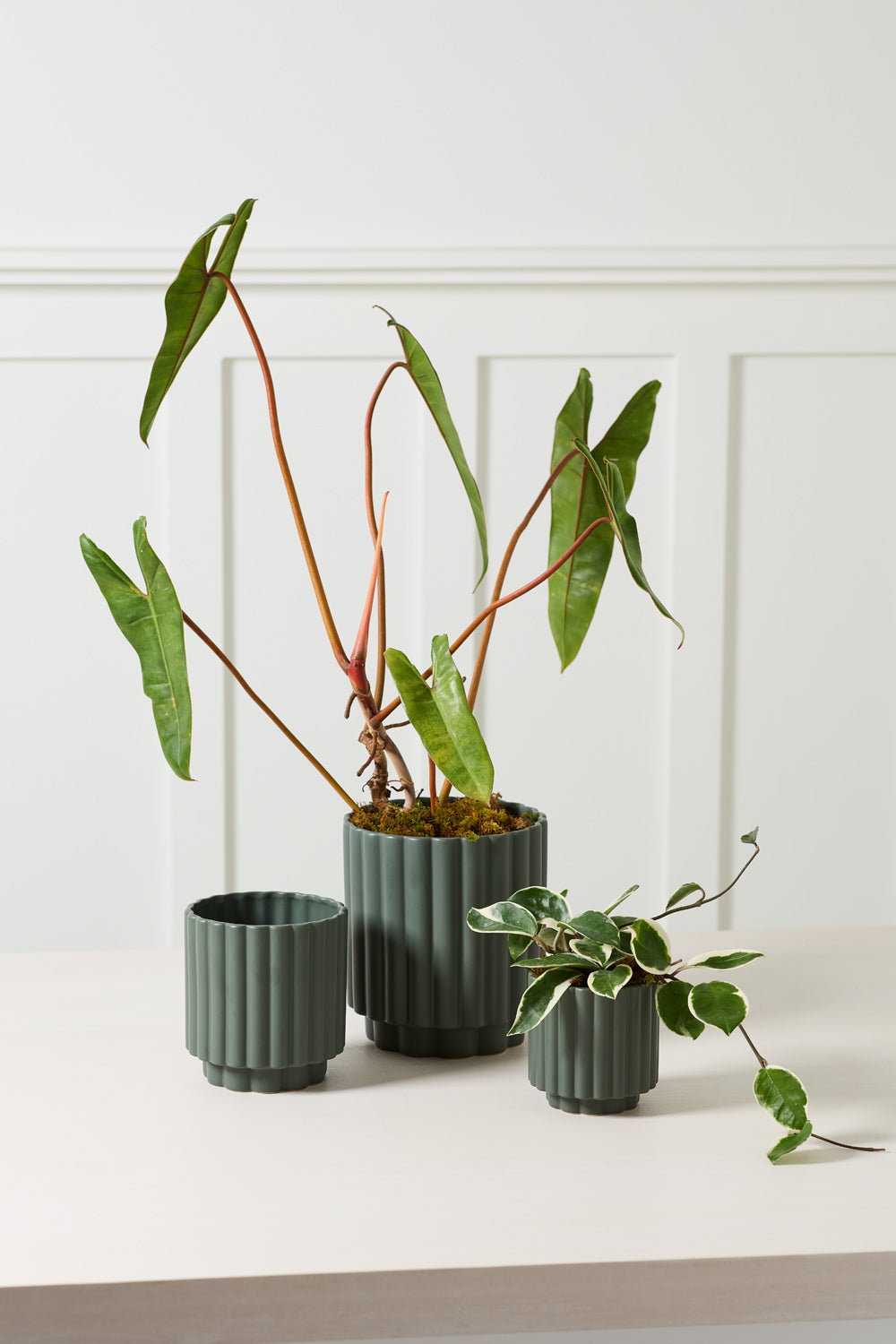 Carmen Pot