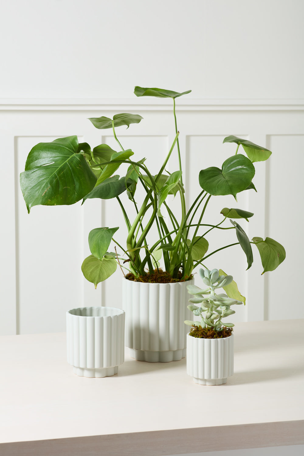 Carmen Pot