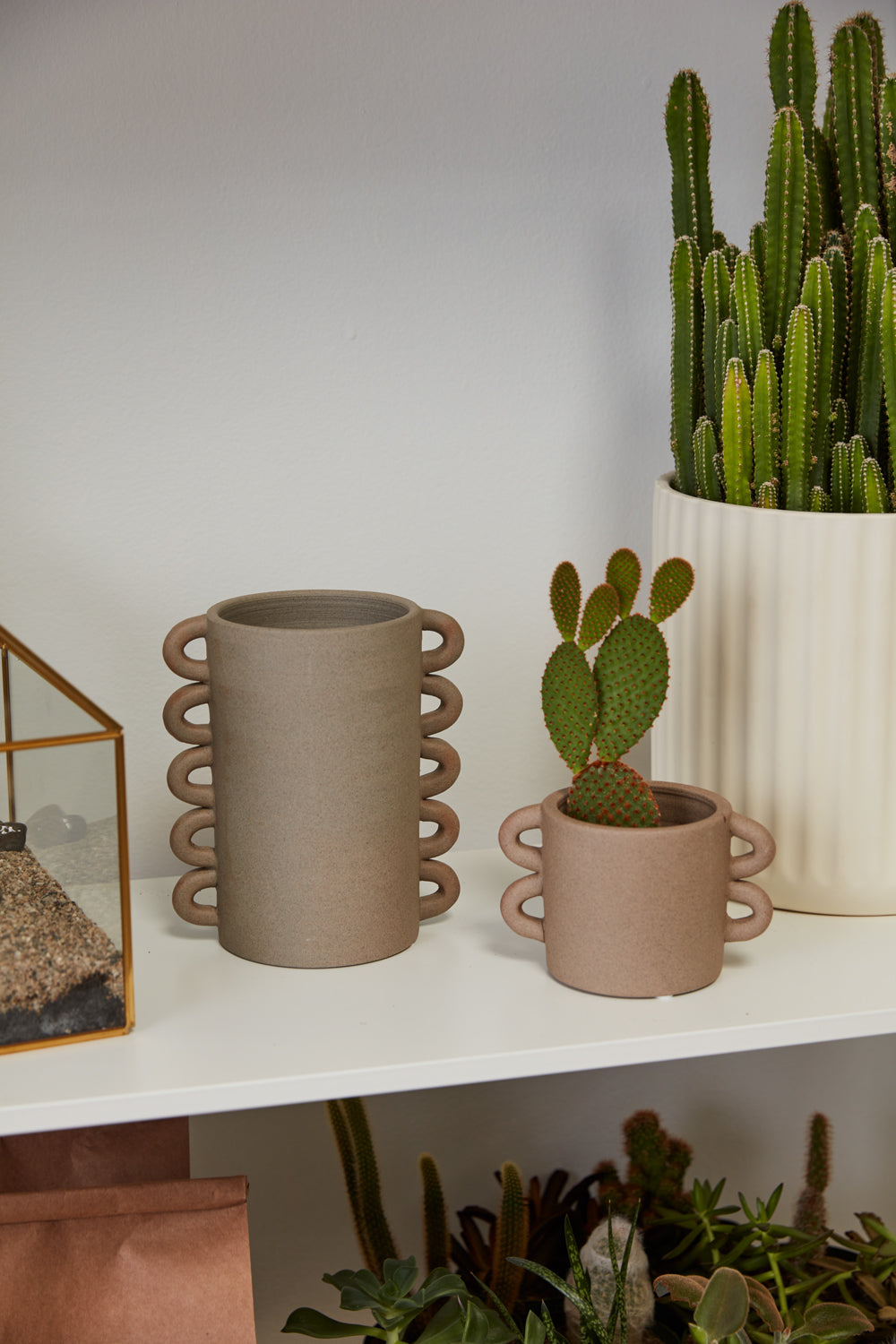 Cassia Collection