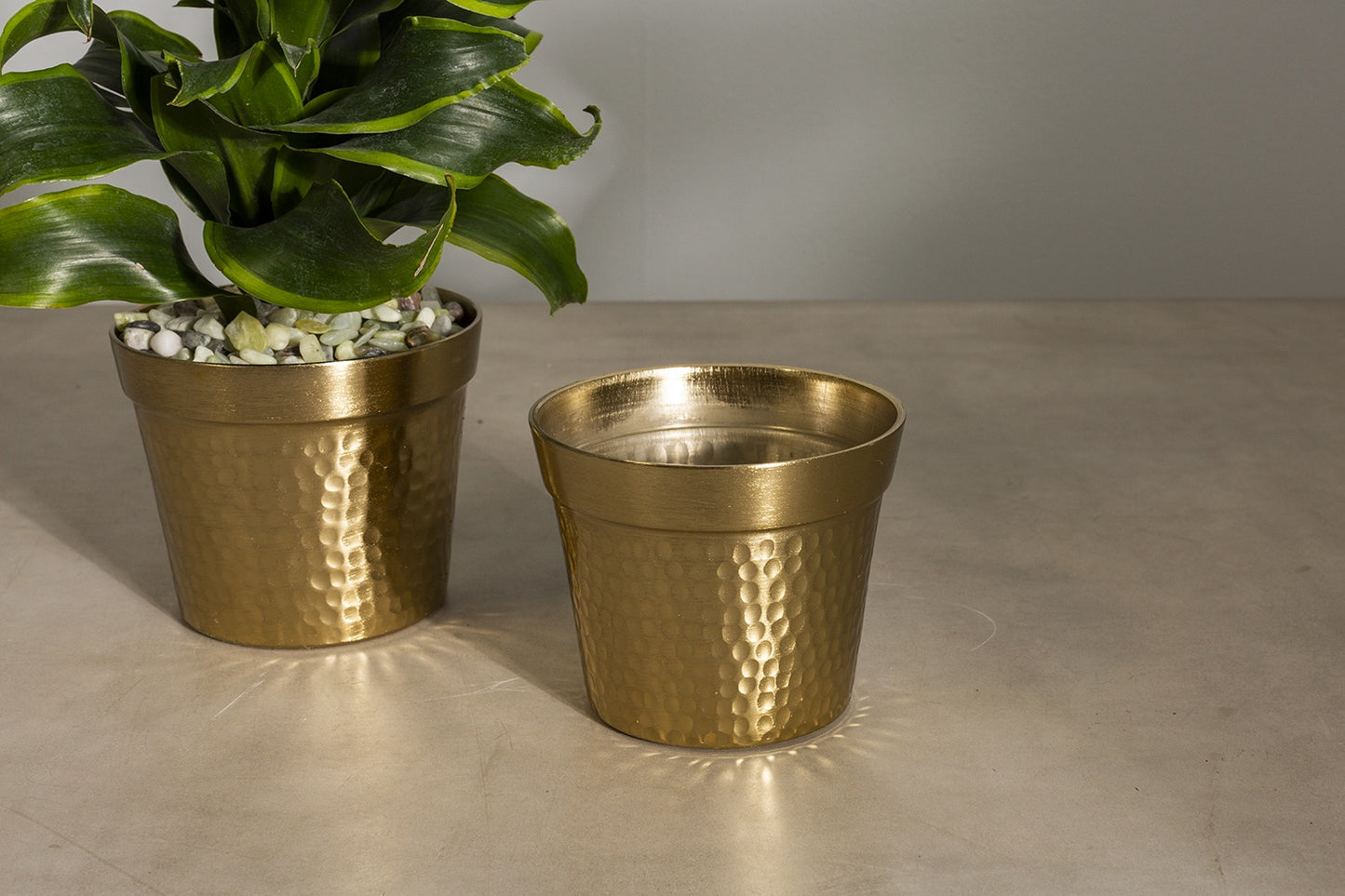 Cato Pot