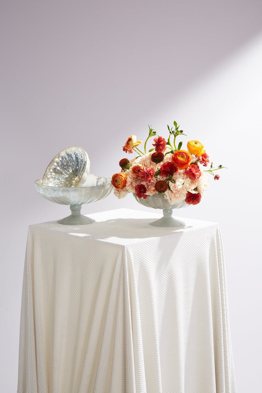 Chiara Compote