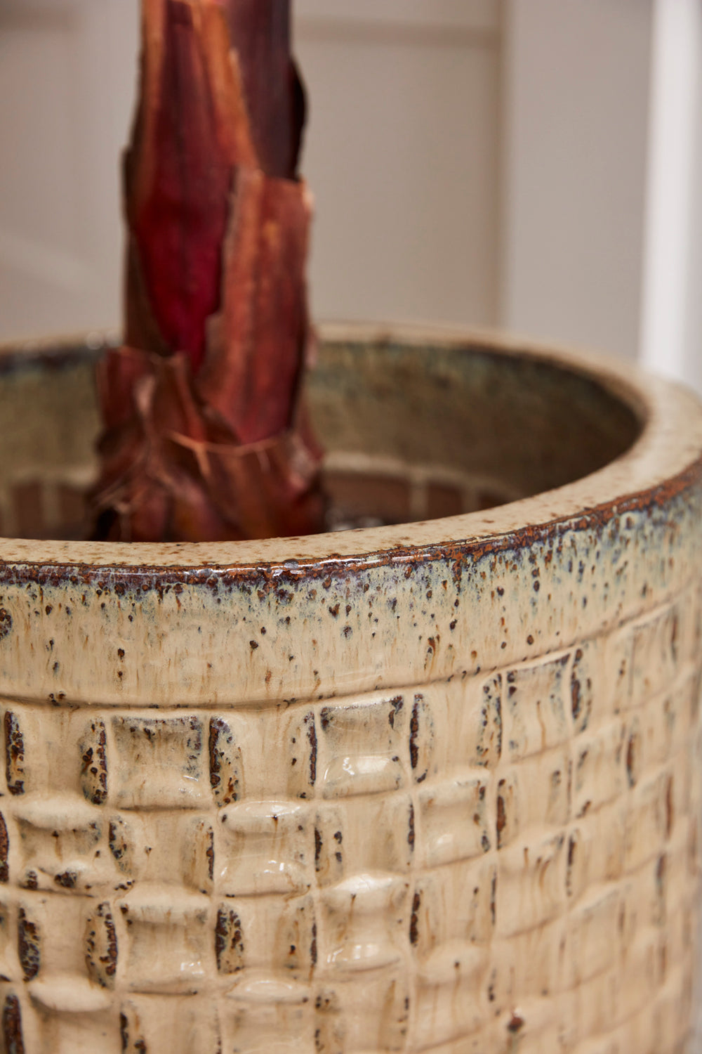 Chimera Pot