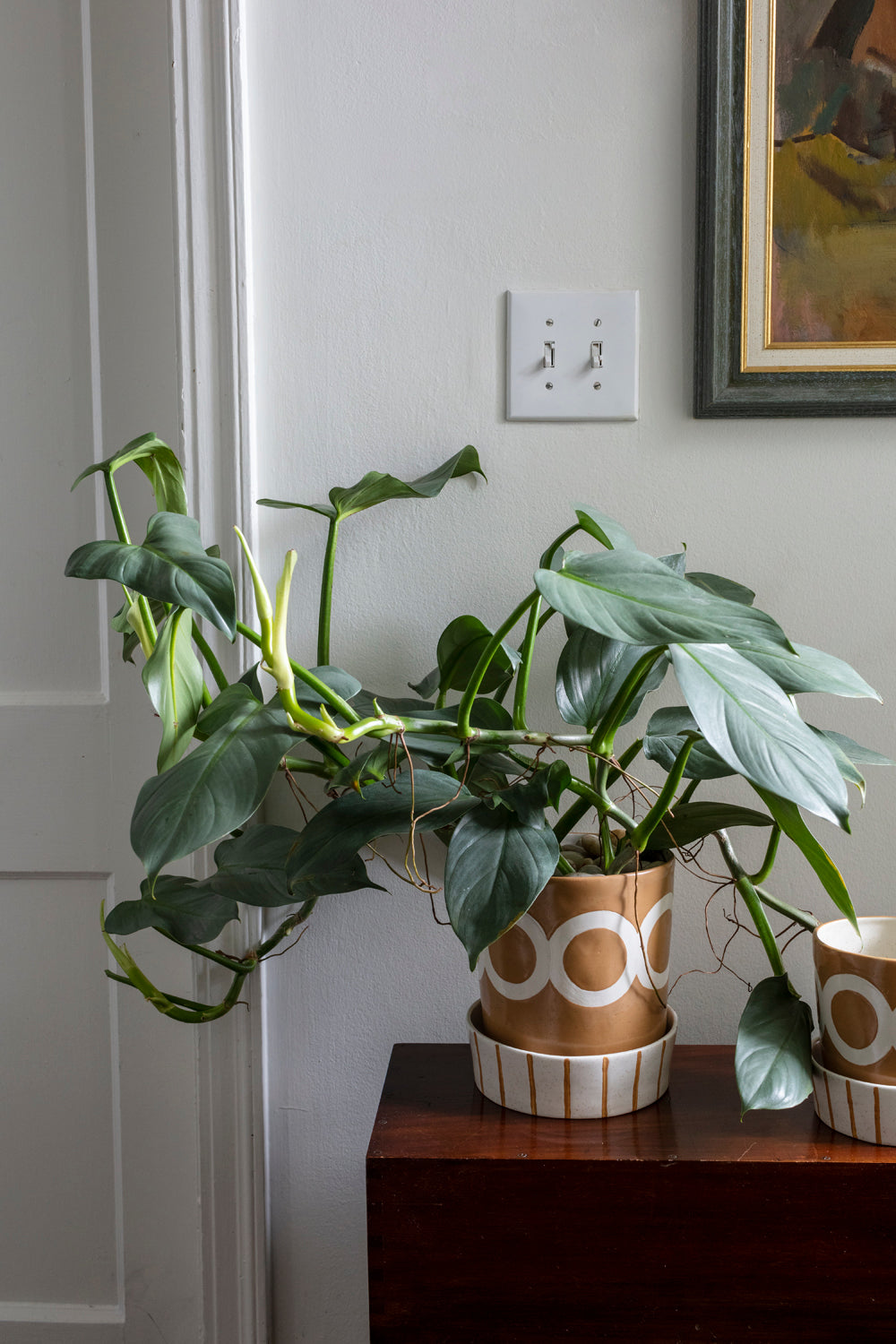 Colburn Pot