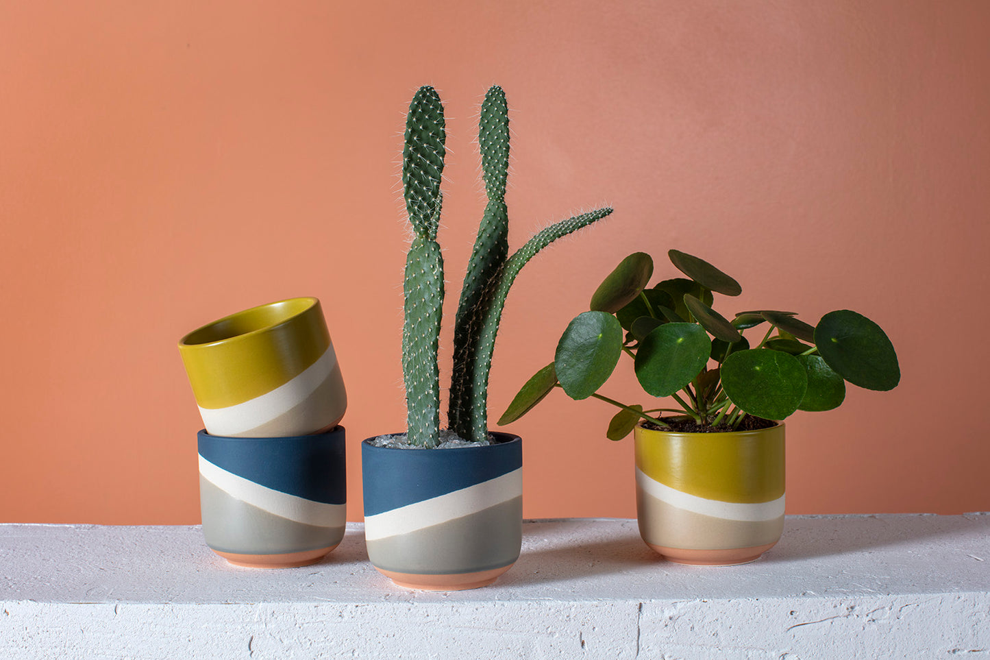Colorway Collection