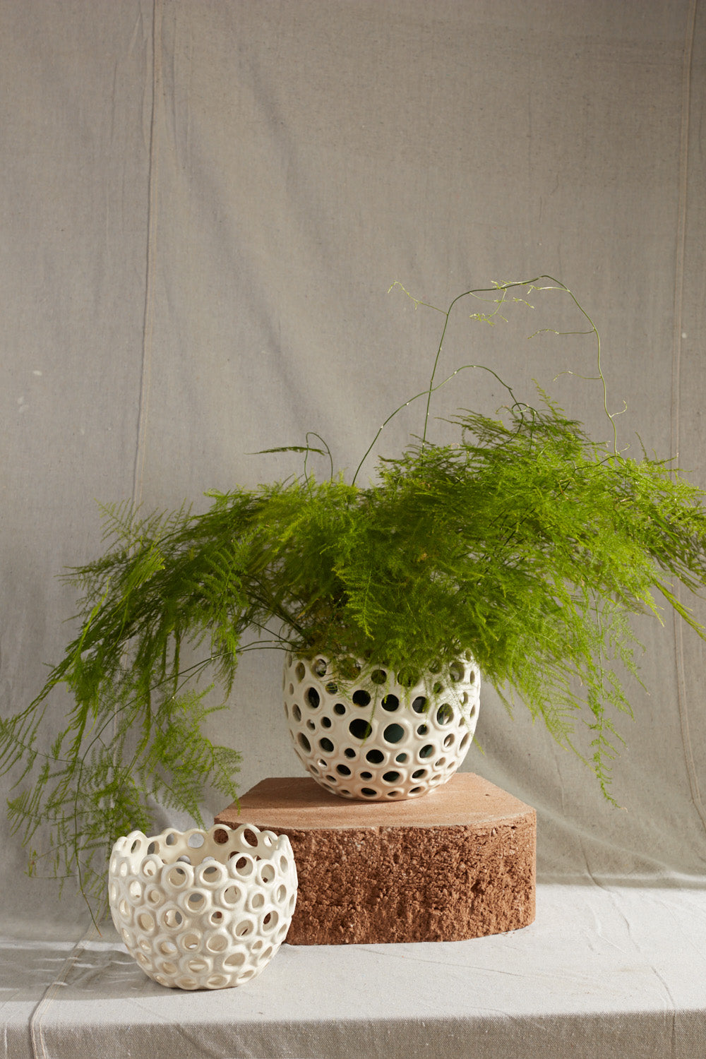 Coral Pot