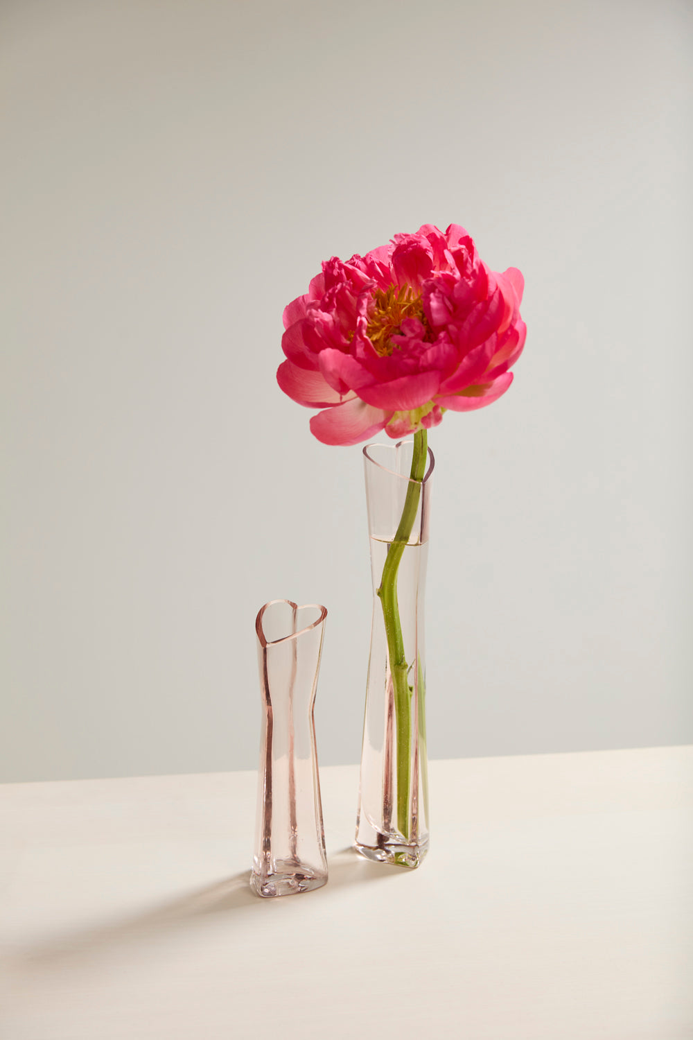 Corazon Budvase