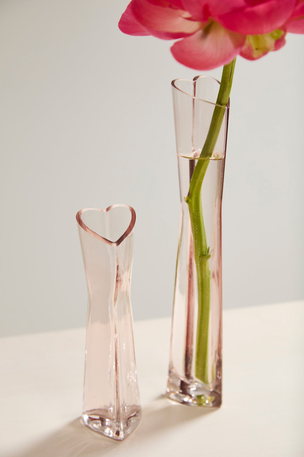 Corazon Budvase