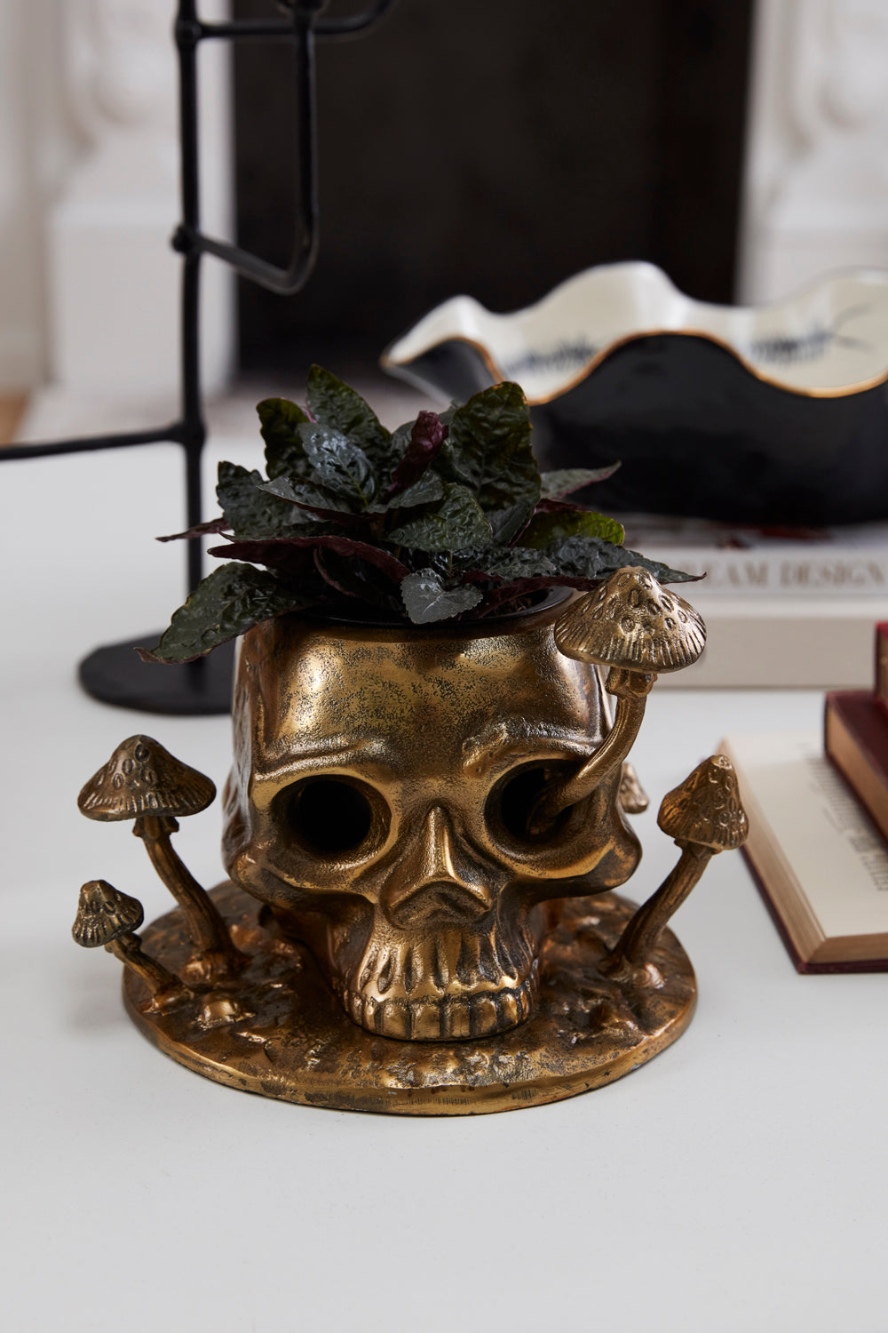 Cranium Pot