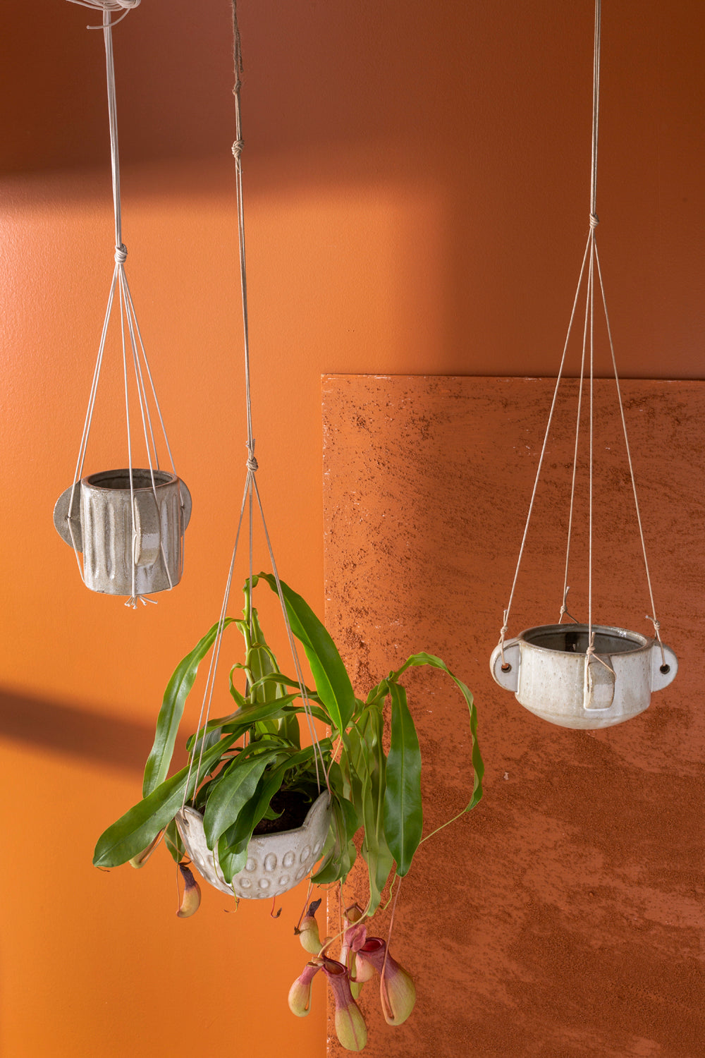 Cromwell Hanging Pot
