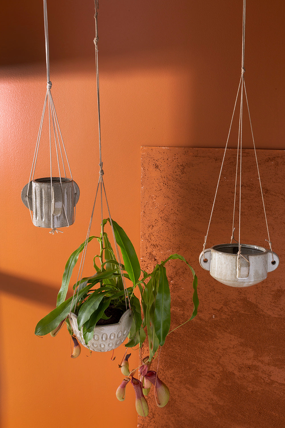 Cromwell Hanging Pot