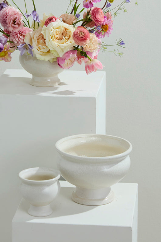 Dawson Compote