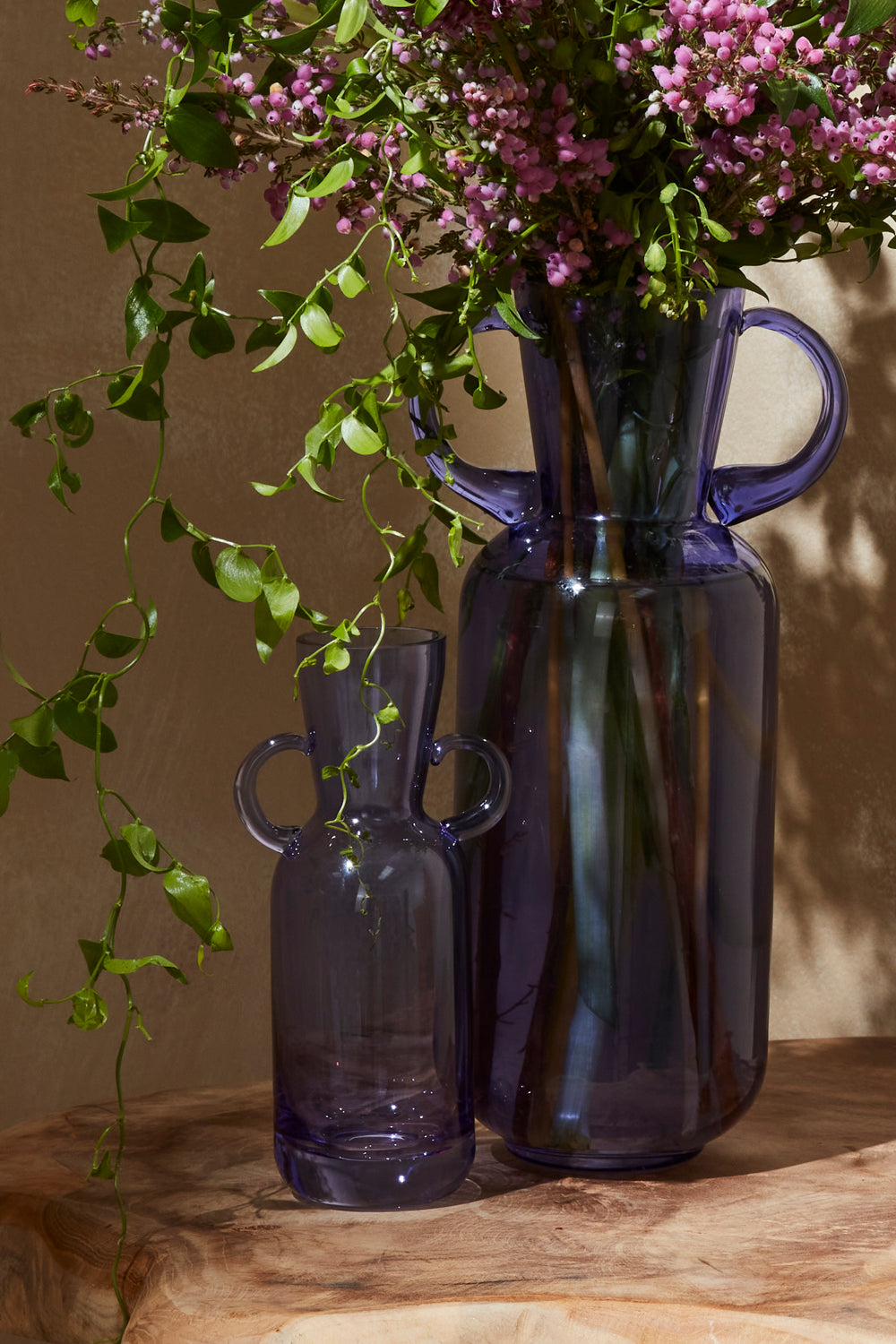Denia Budvase