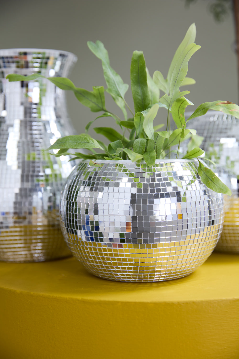 Disco Collection