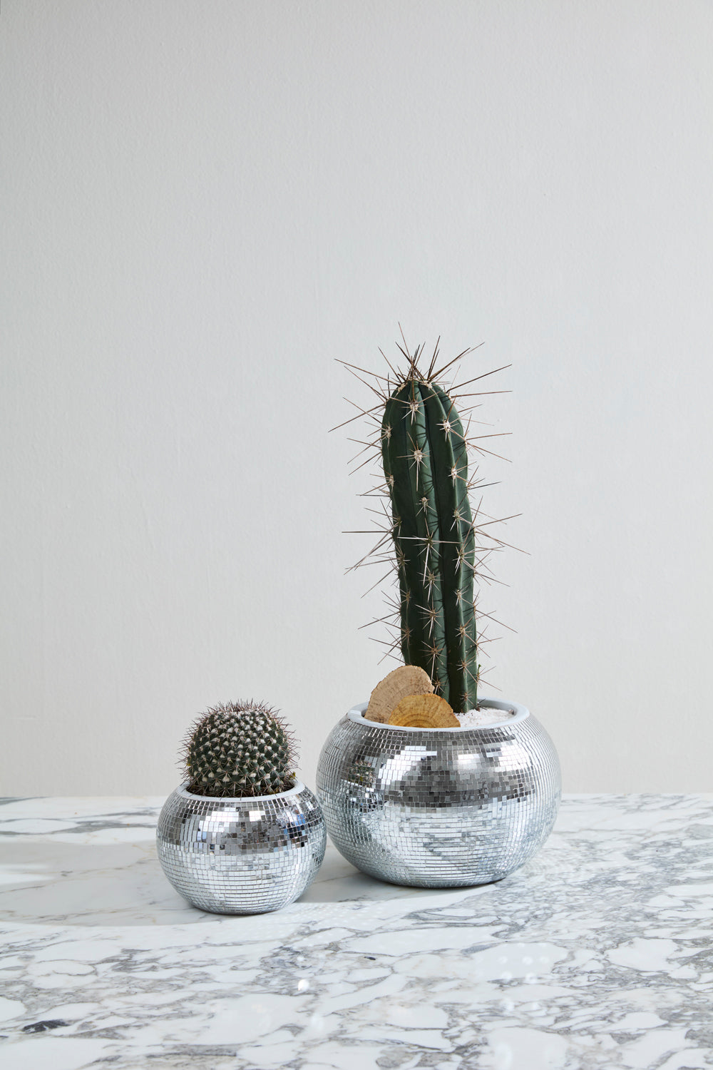 Disco Collection