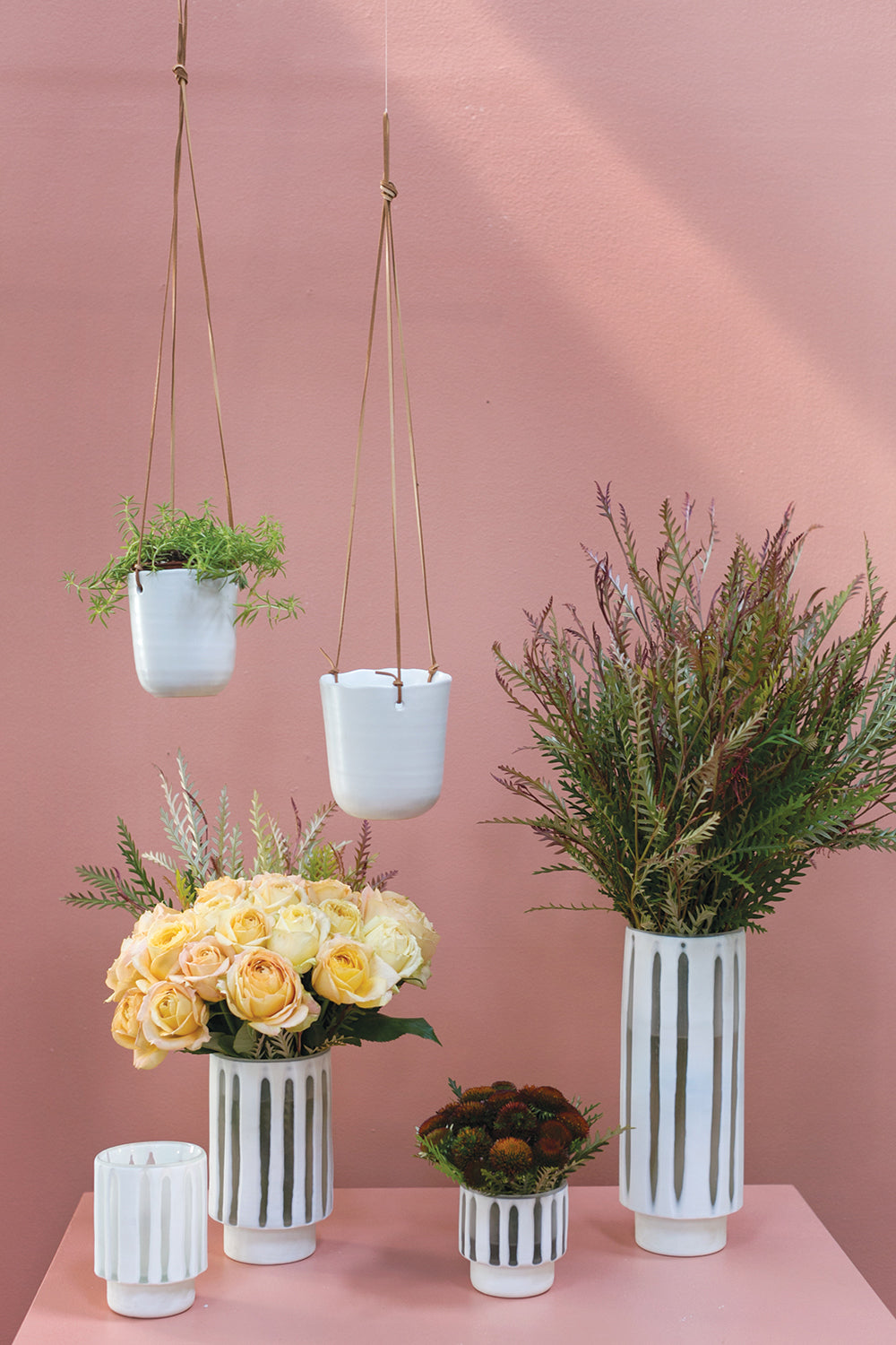 Doni Plant Hanger