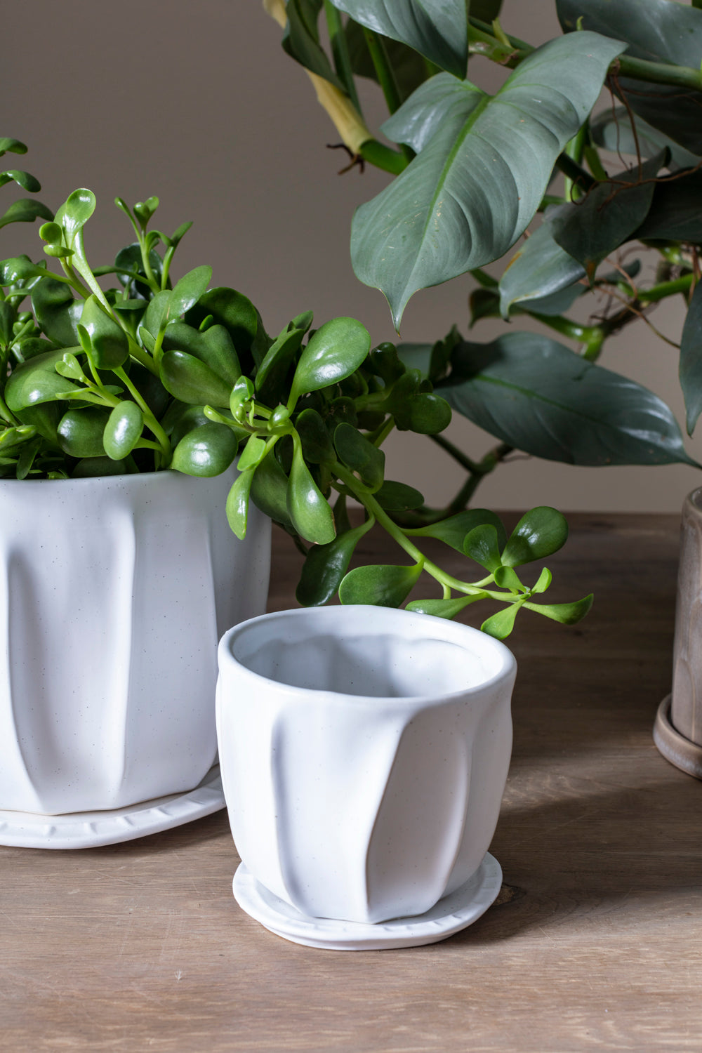 Draken Pot