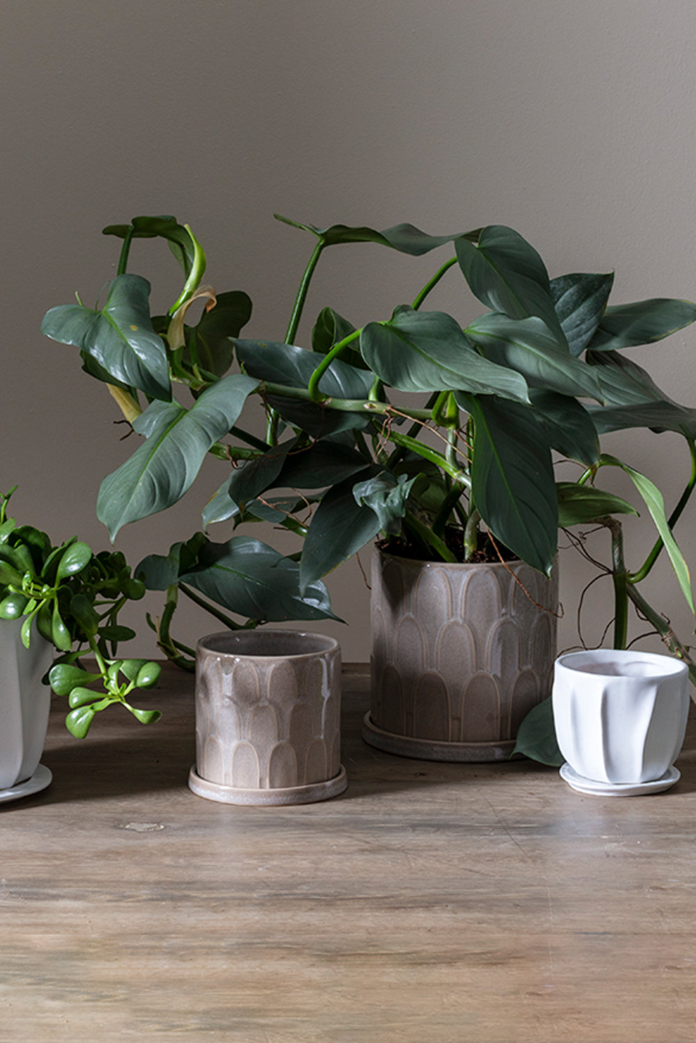 Duncan Pot