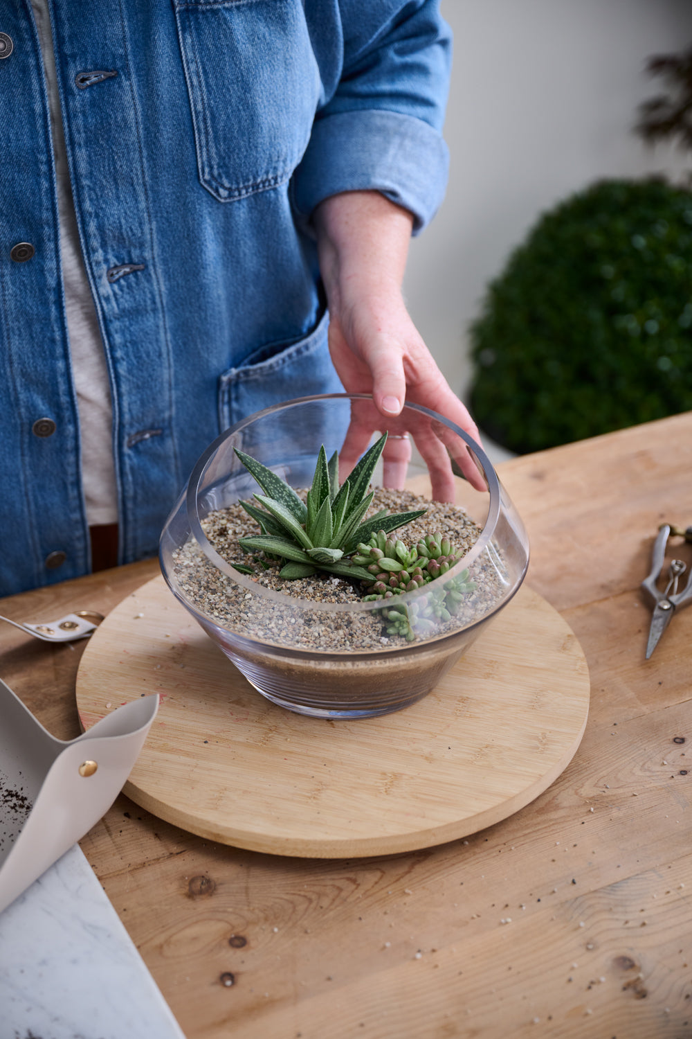 Dynamic Terrarium