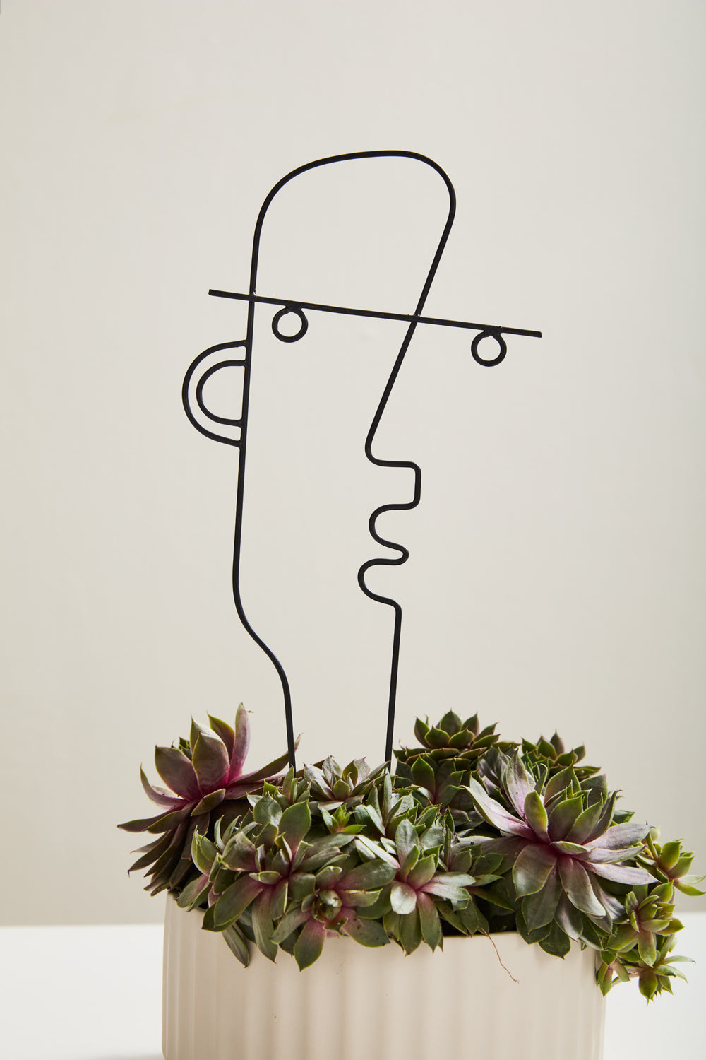 Teddy Plant Stick