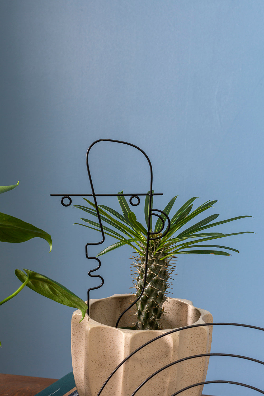 Teddy Plant Stick