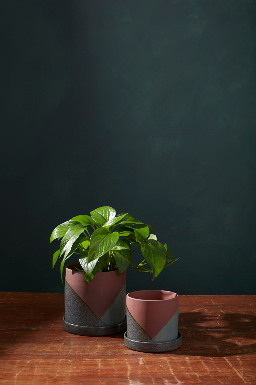 El Cerro Pot