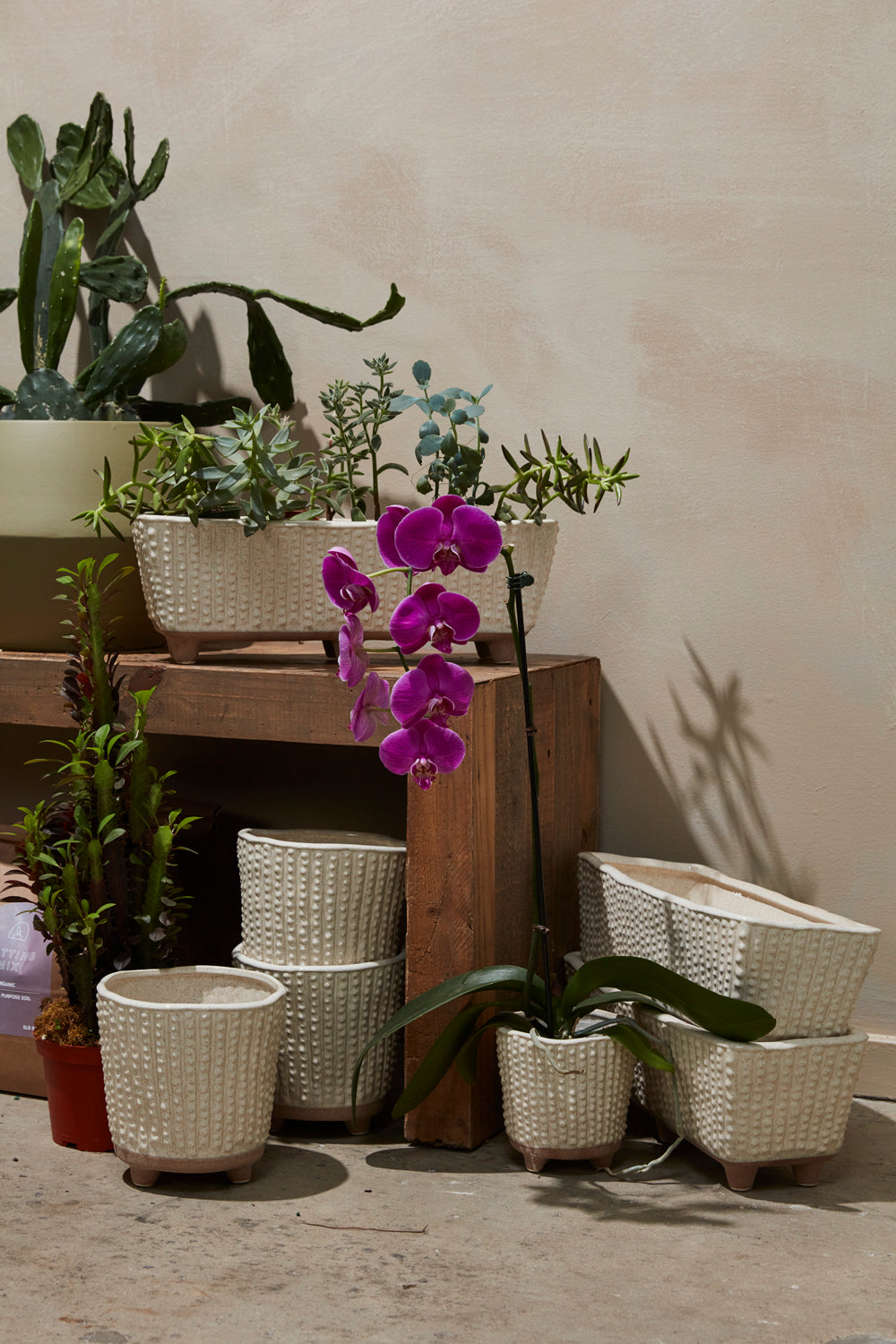 Elias Collection