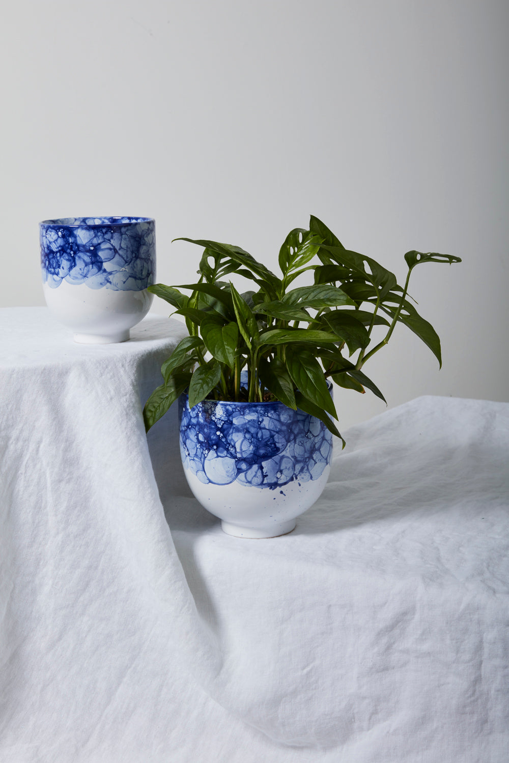 Ellory Collection