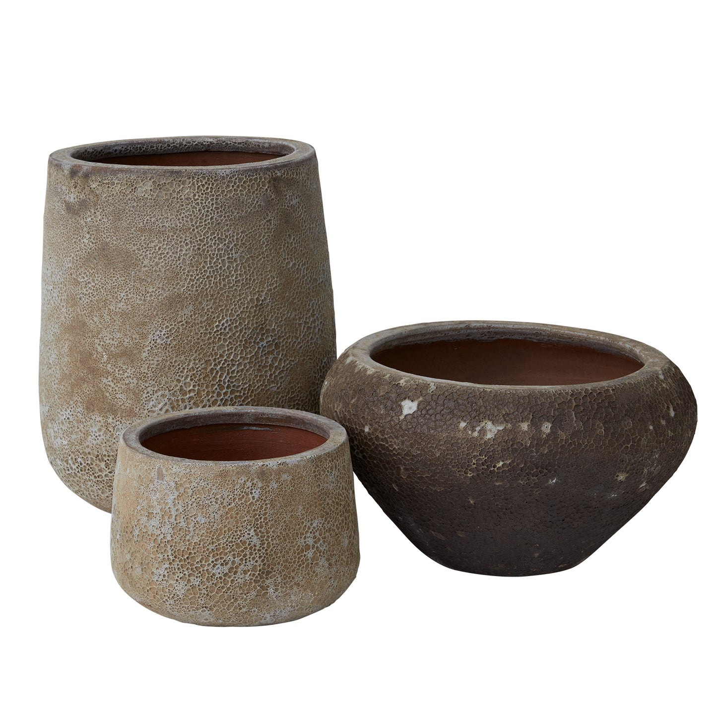 Ellwyn Collection