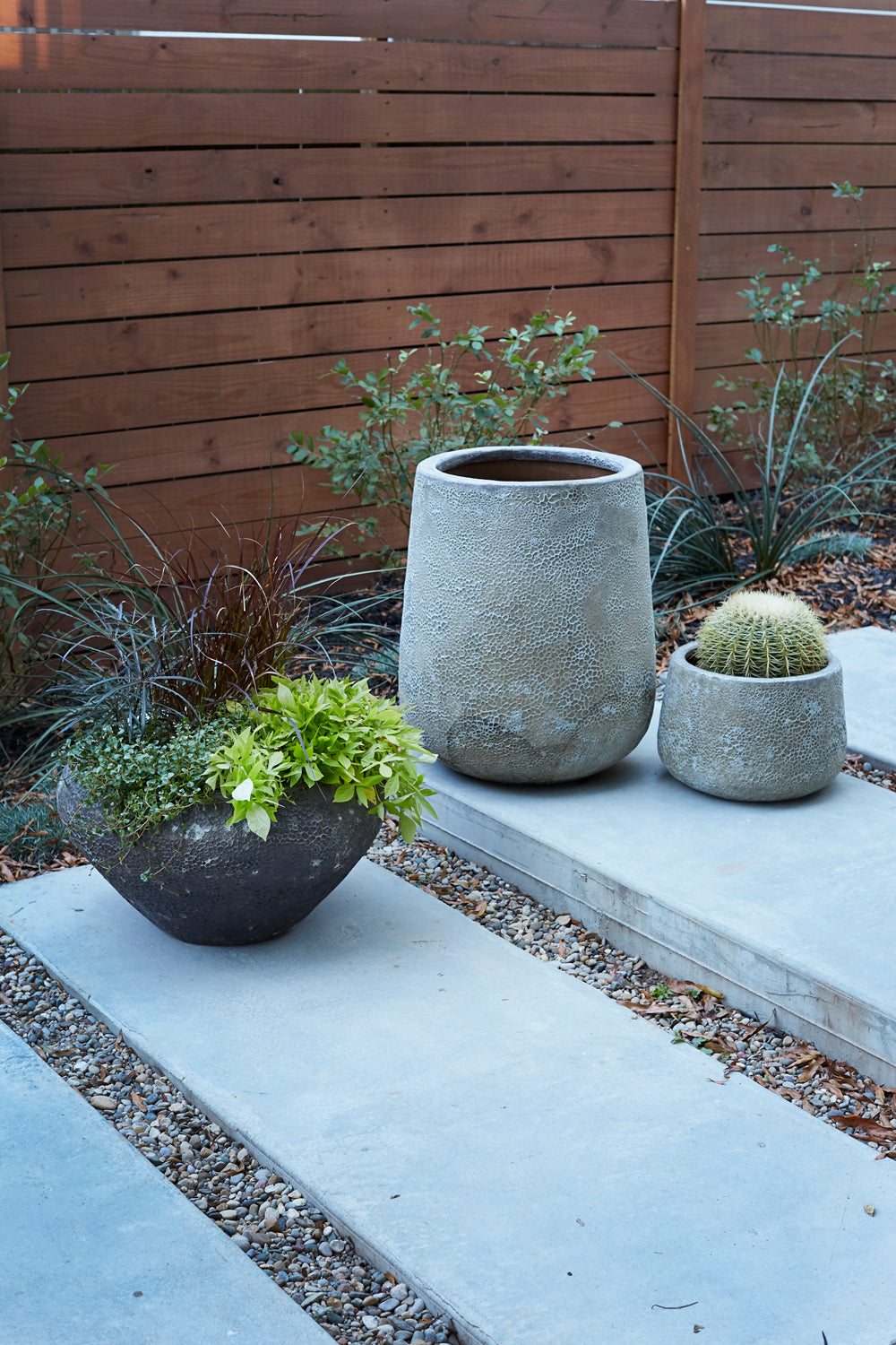 Ellwyn Collection