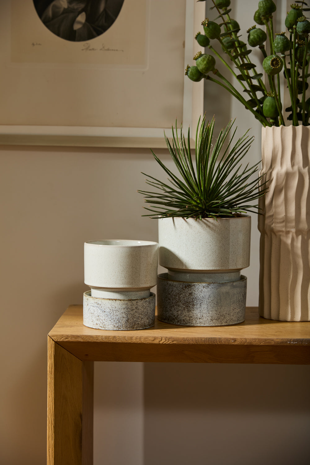 Endeavor Pot with Saucer