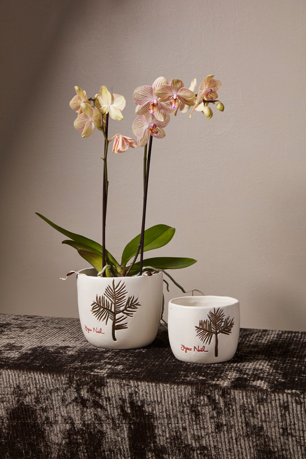 Evergreen Pot